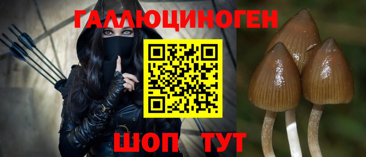 Псилоцибиновые грибы ЛСД  Вход с VPN  Псилоцибиновые грибы Cubensis  Кропоткин 